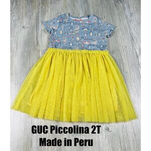 Piccolina Made in Peru Tulle Skirted Dress bug theme